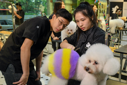 Registration fee (Professional Pet Grooming Course)